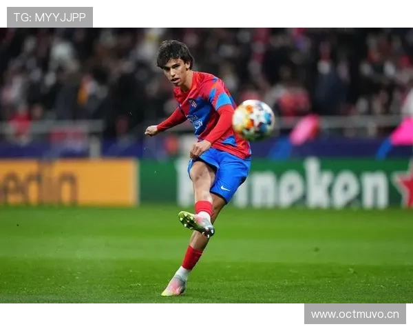 菲利克斯体系适配性与实力受限原因分析